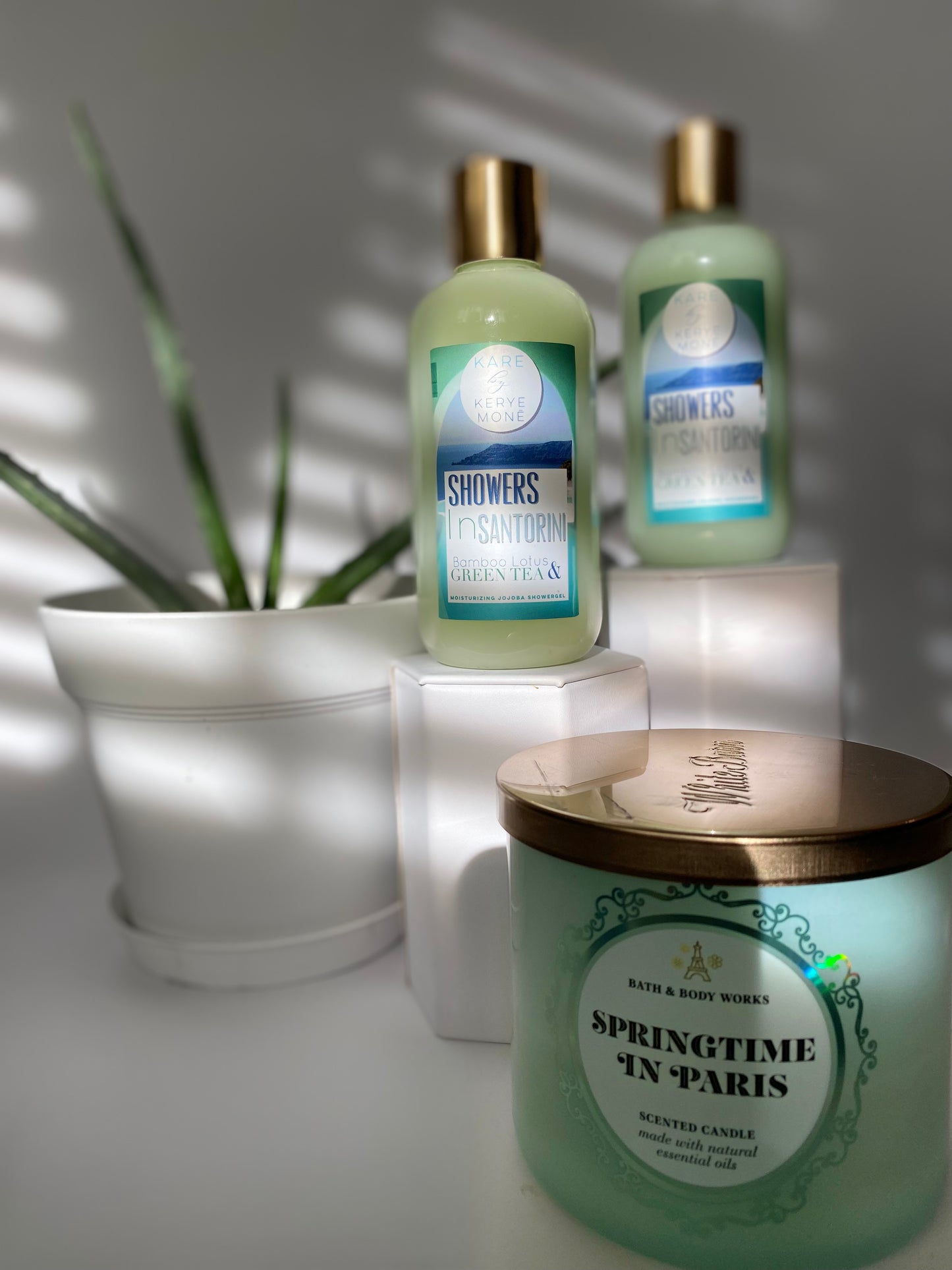 ππΆπππΎππ π΅πΆππ·ππ πΏππππ & π’ππππ π―ππΆ π₯ππΏππ·πΆ ππ½πππππππ