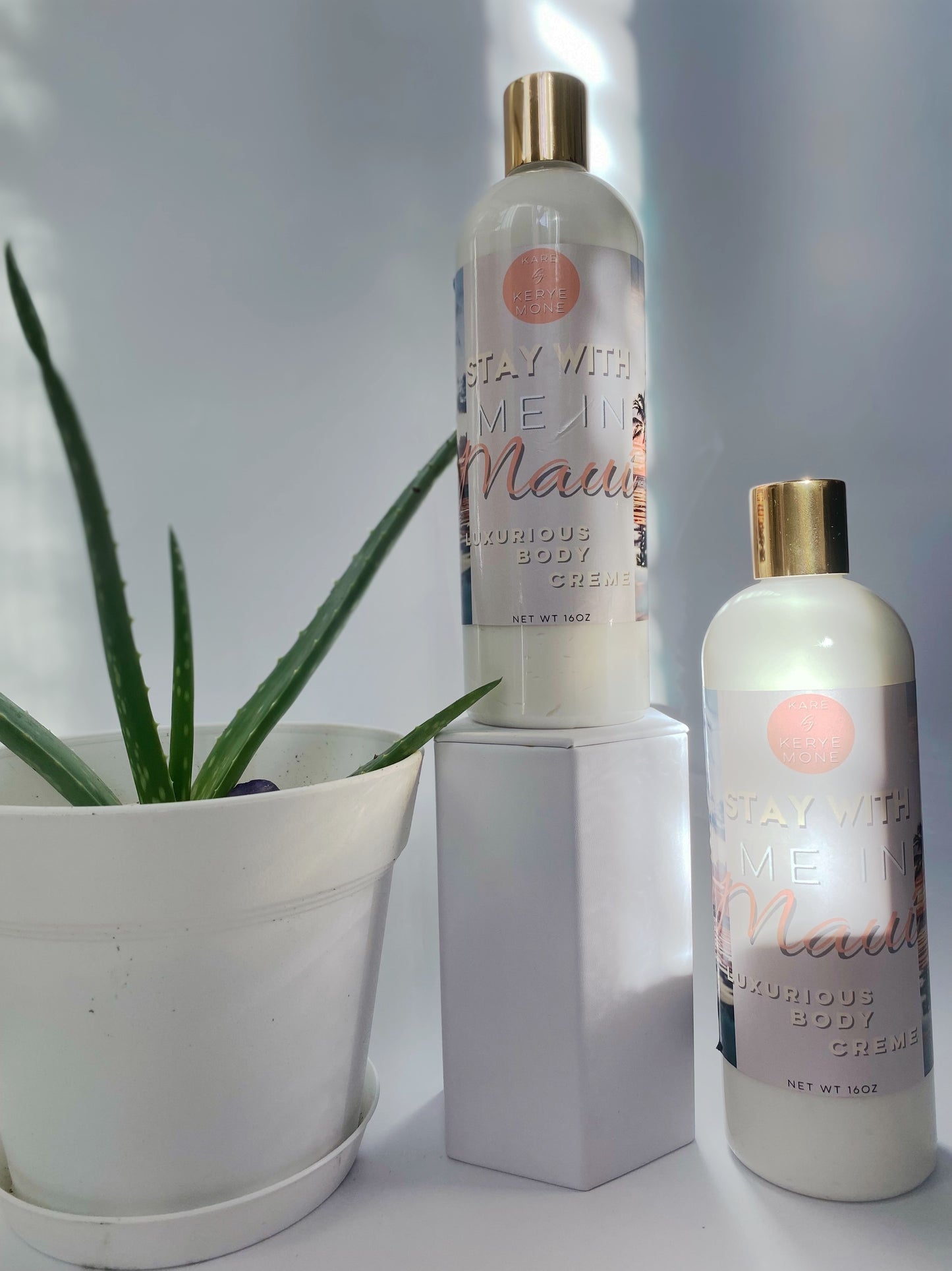 ππ₯ππͺ π¨ππ₯π ππ ππ πππ¦π πΈππ π Body βπ£πππ